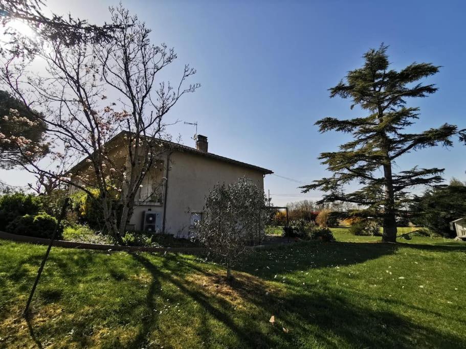 Maison Gaillacoise Luaran gambar