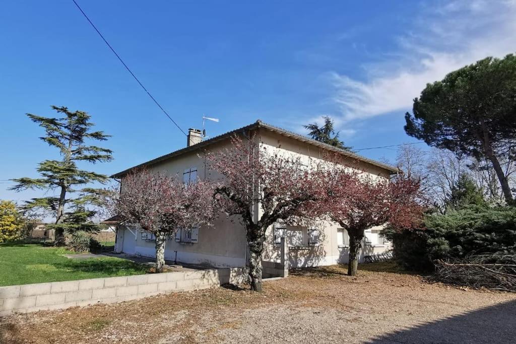 Maison Gaillacoise Luaran gambar