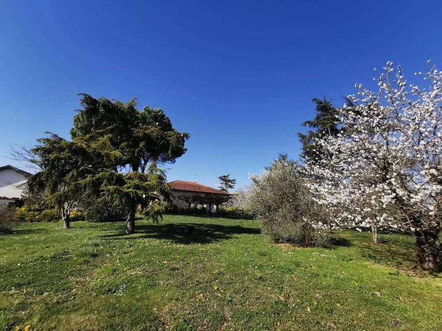 Maison Gaillacoise Luaran gambar